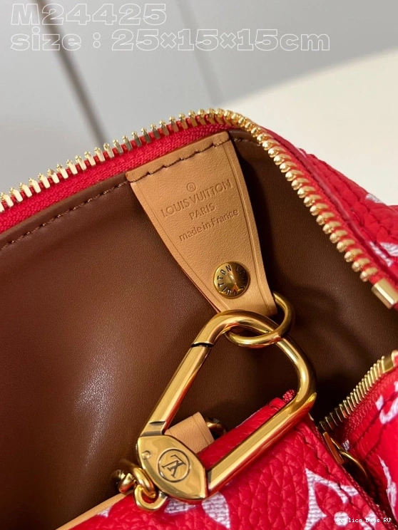 Cheap Louis SPEEDY 25 Vuitton 0808